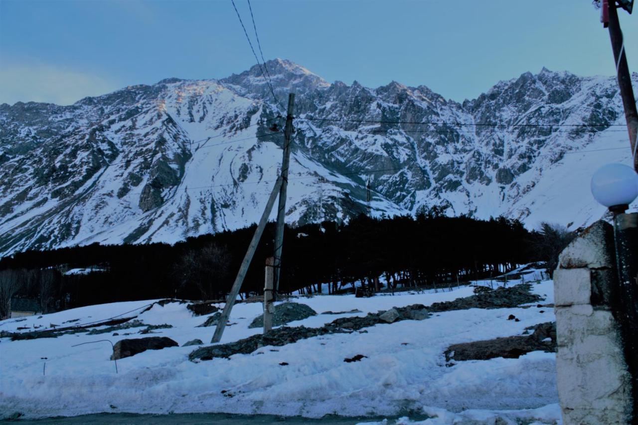 Hotel Noa Kazbegi 外观 照片