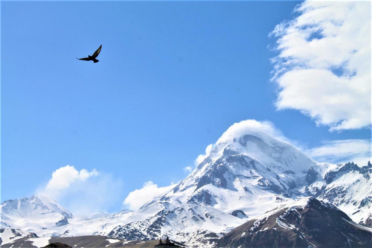 Hotel Noa Kazbegi 外观 照片